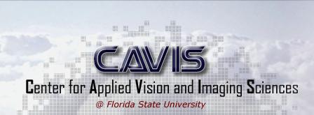 Center for Applied Vision and Imaging Sciences