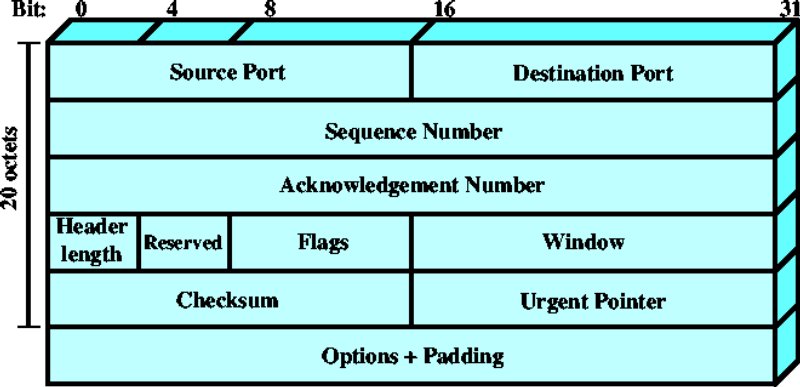 figure 2a