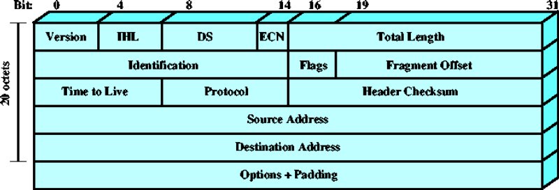 figure 3a