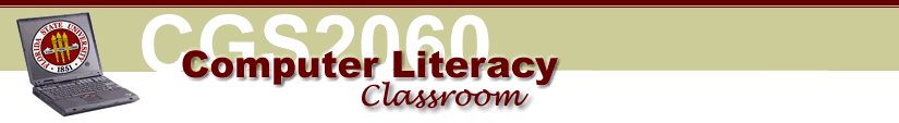 CGS 2060 Banner