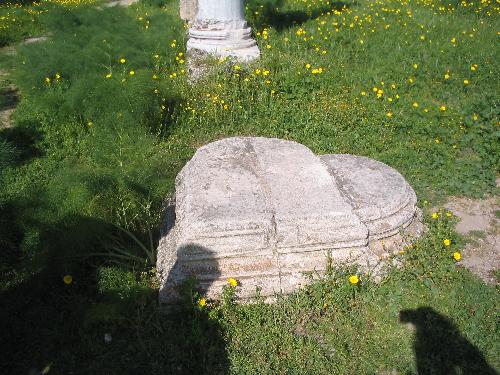 Original image