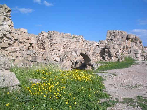 Original image