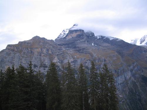 Original image