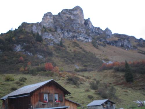 Original image