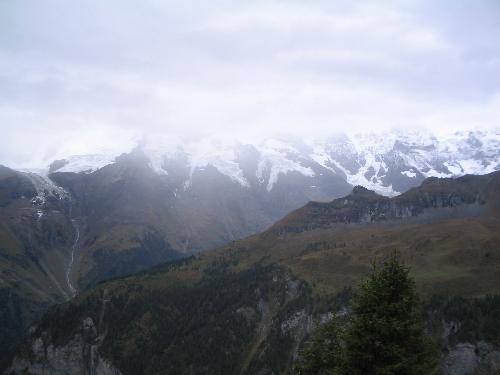 Original image