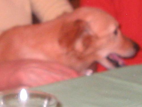 Original image