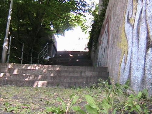 Original image