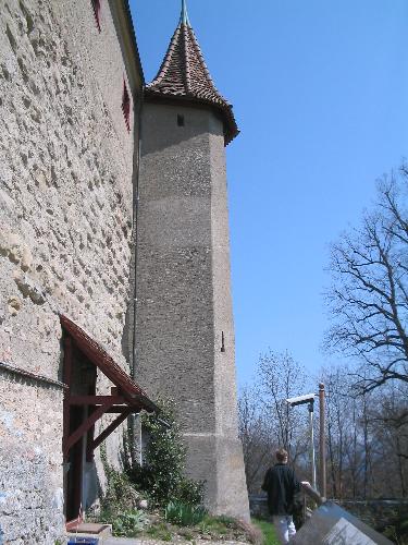 Original image