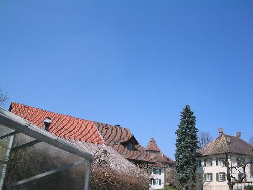 Original image