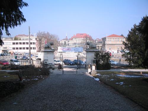 Original image