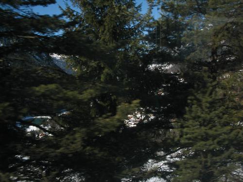Original image