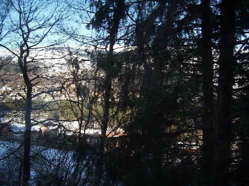 Original image