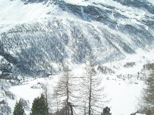Original image