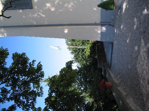 Original image
