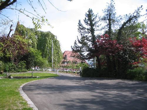 Original image