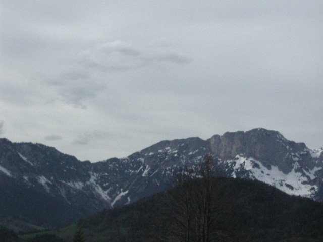 Original image