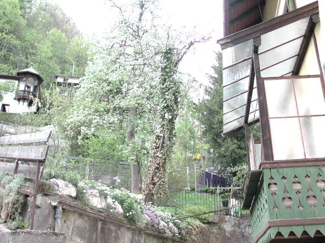 Original image