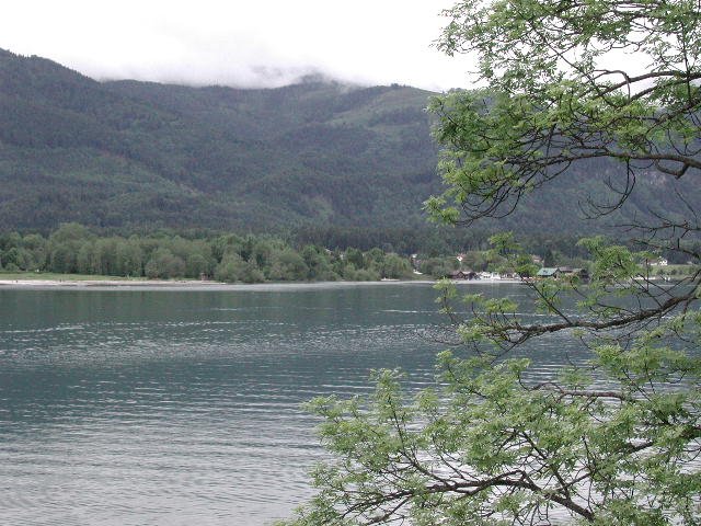 Original image
