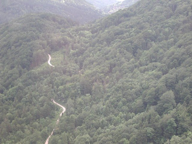 Original image