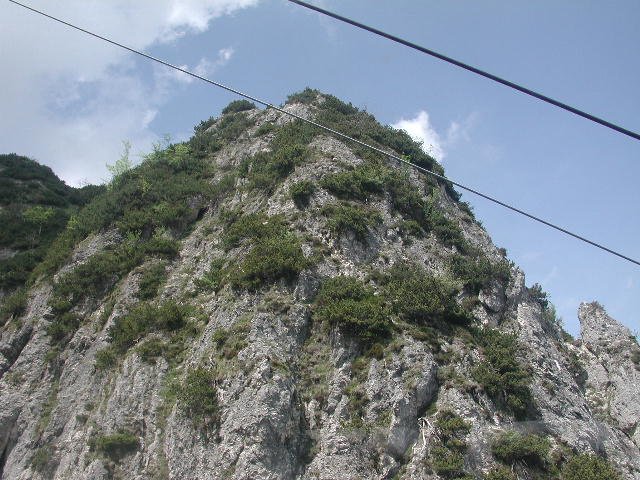 Original image