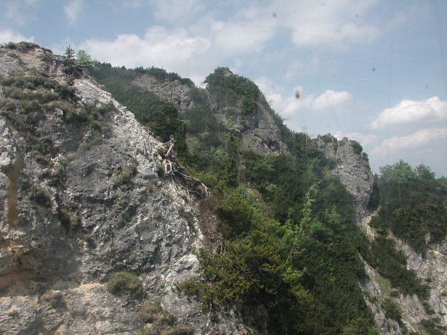Original image