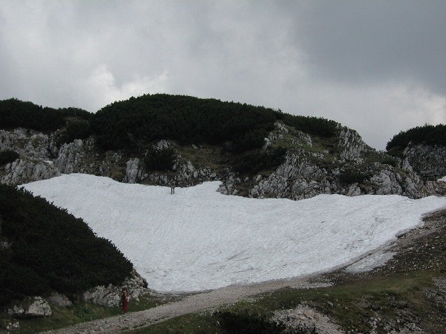 Original image