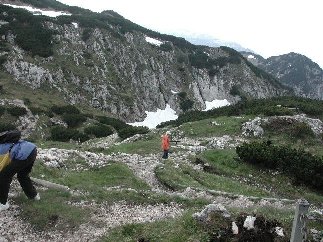 Original image