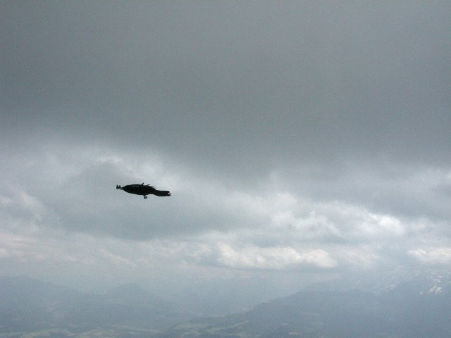 Original image