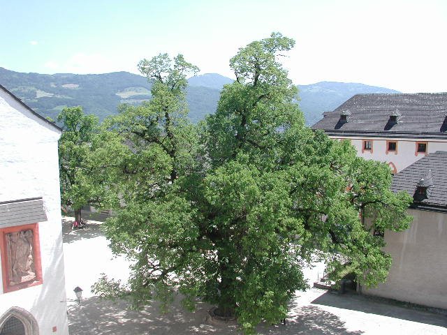 Original image