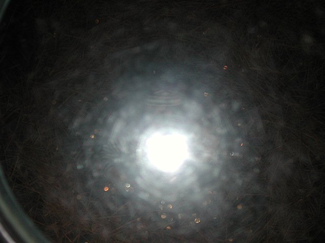 Original image