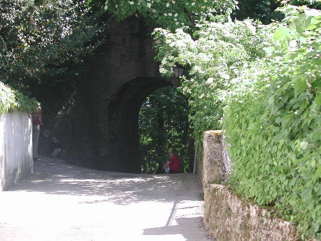 Original image