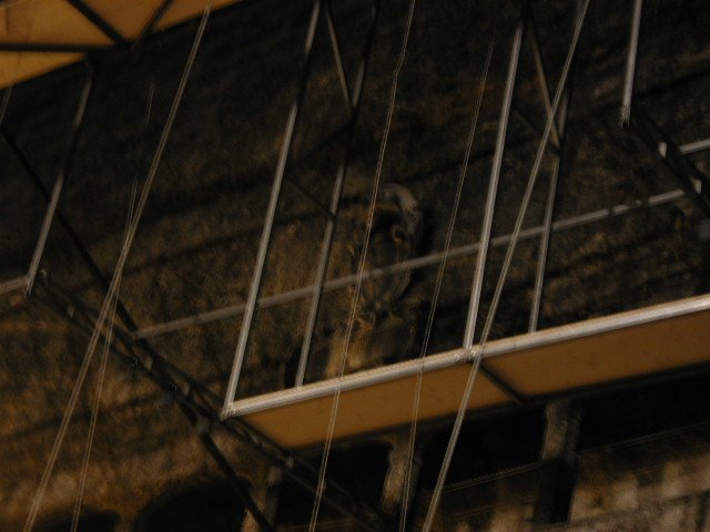 Original image