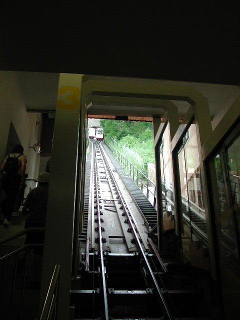 Original image