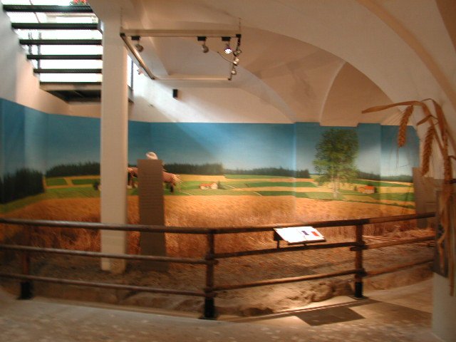 Original image
