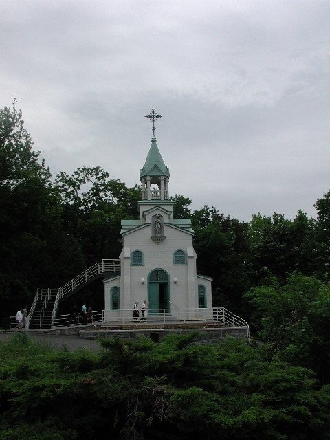 Original image