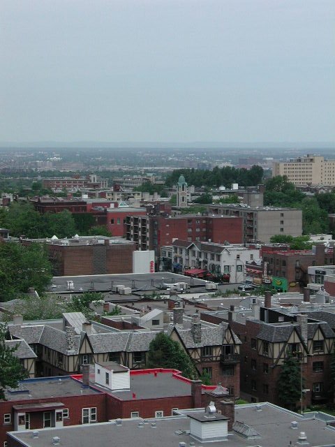 Original image
