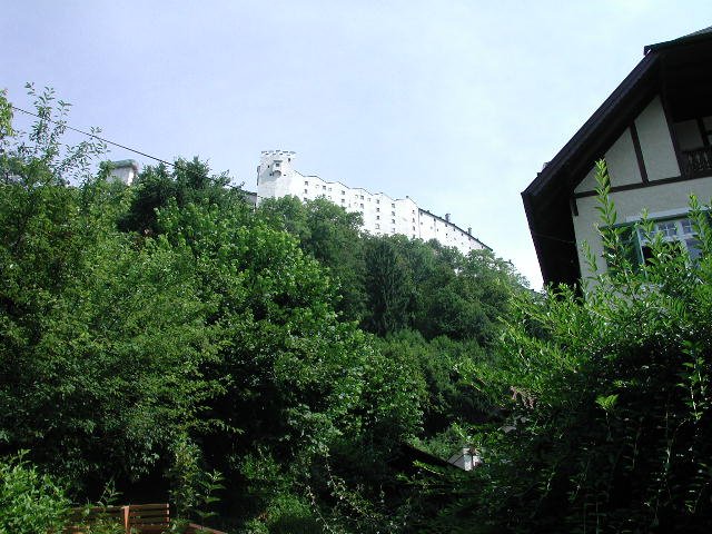 Original image