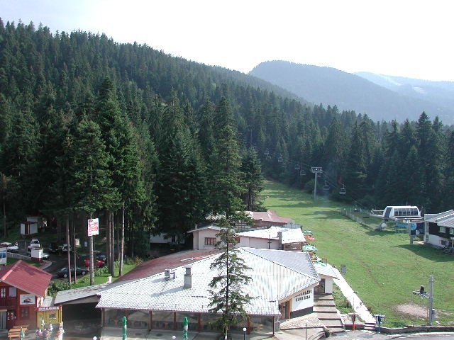 Original image