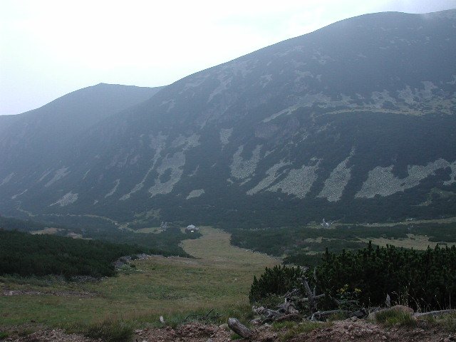 Original image