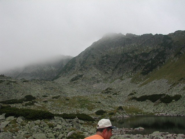 Original image
