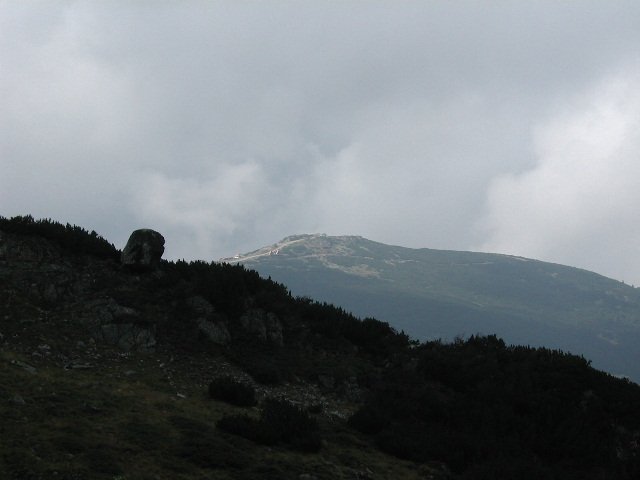 Original image