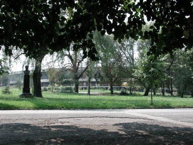 Original image
