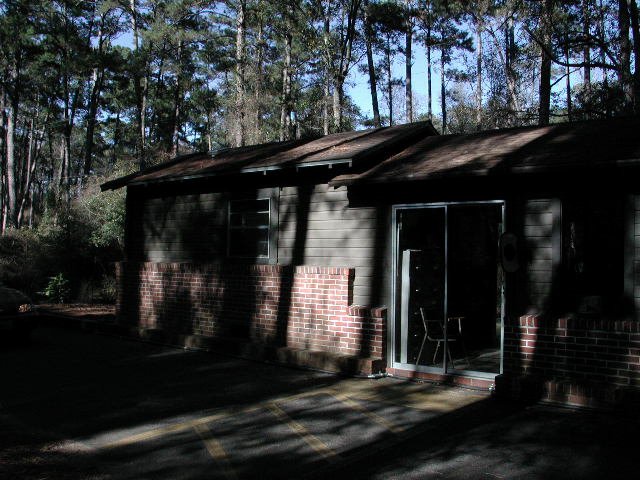 Original image
