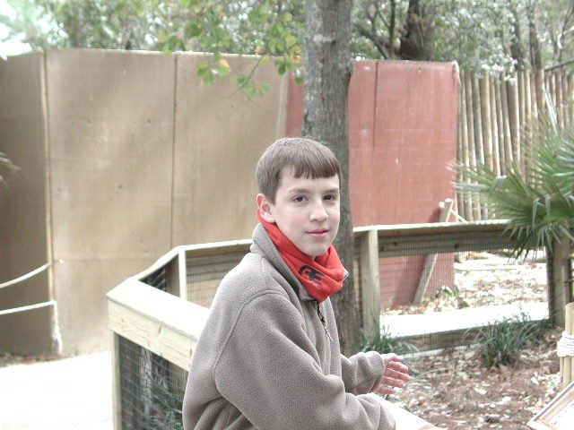 Original image
