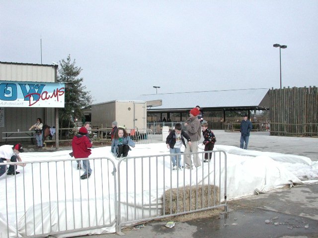 Original image