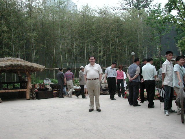 Original image