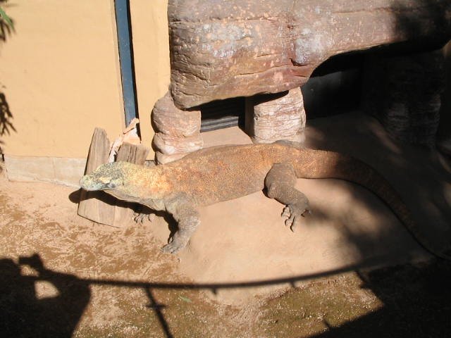 Original image