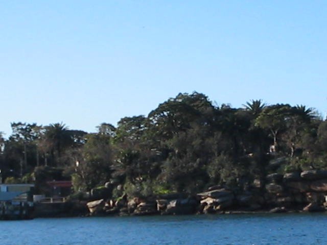 Original image