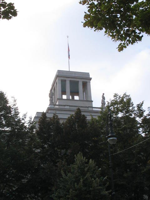 Original image