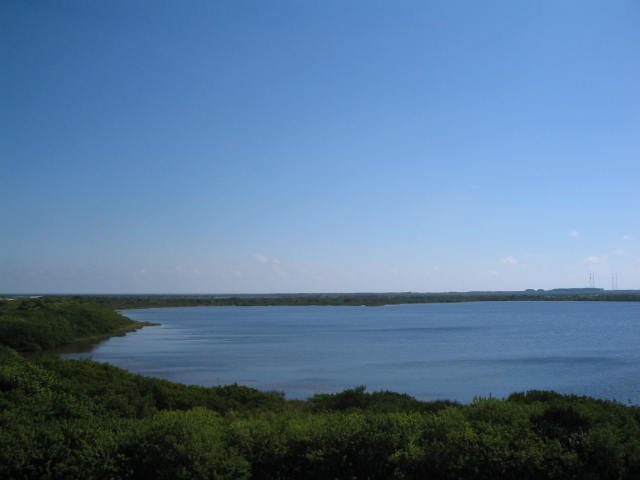 Original image